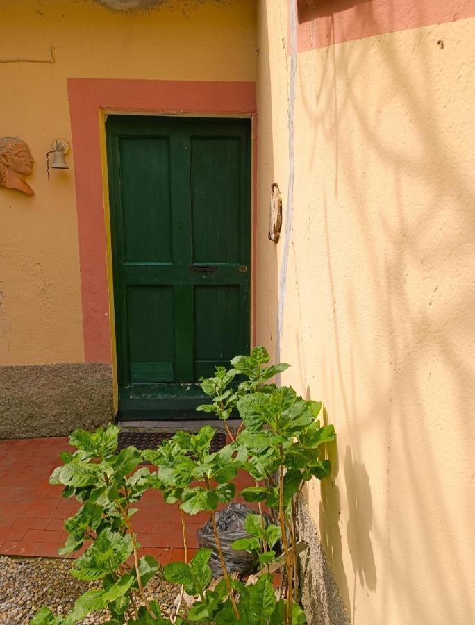 Norina'S House Βίλα Μοντερόσο αλ Μάρε Εξωτερικό φωτογραφία